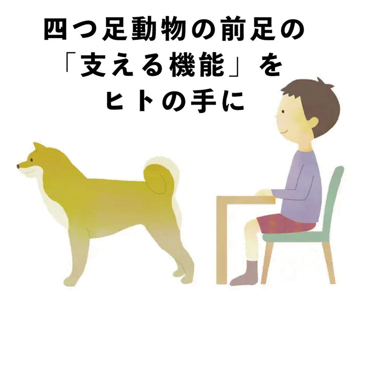 手のSiseii (シセイー 姿勢 シセイ)6/2 テレビ埼玉「マチコミ」で紹介されました! 送料¥250(2個まで)
