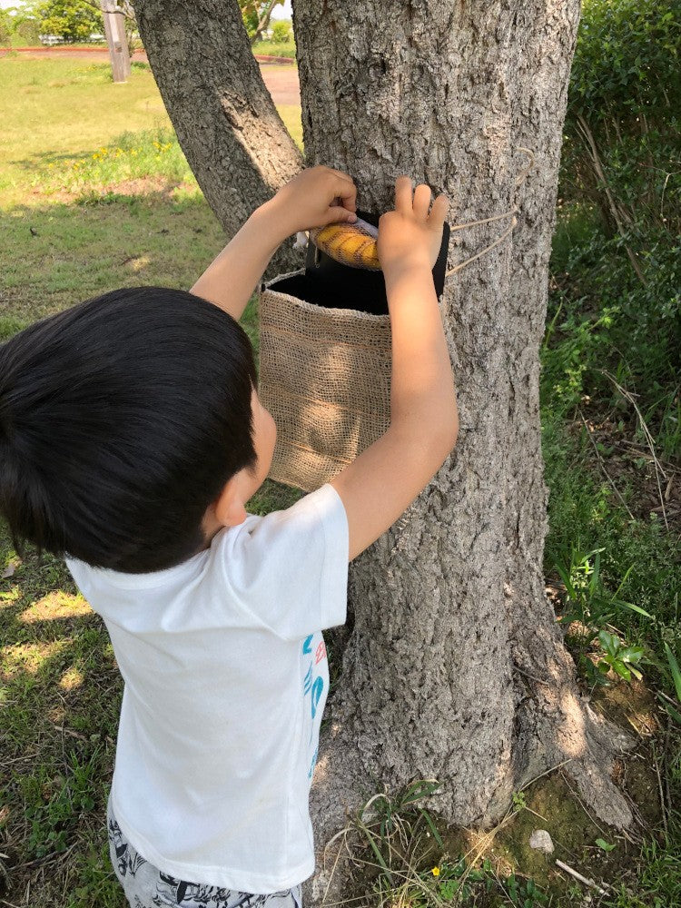 カブトキャッチャー 送料¥250(1個まで) カブトムシ クワガタ 昆虫採集