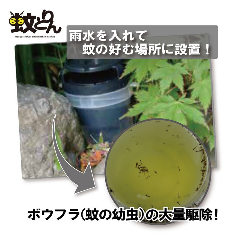 蚊とりん (5個以上で送料無料 ジカ熱 デング熱 チクングニア熱対策 ボウフラ駆除)SDGs 電源不要・薬剤不要で環境にやさしい