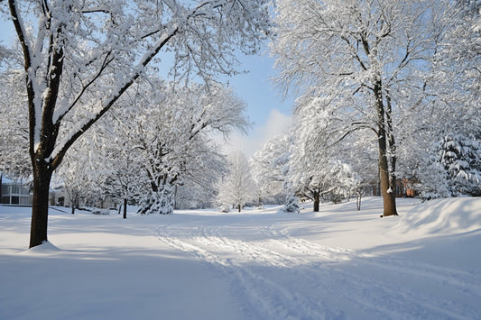 冬を楽しむためのおすすめアイテム特集