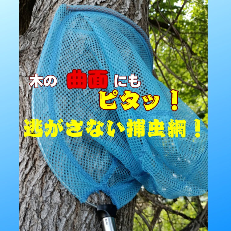 虫取りかんたん！らくらく昆虫捕獲｜夏休み 木に密着する捕虫網 カブトムシ・クワガタ・川底の生き物も逃がさない
