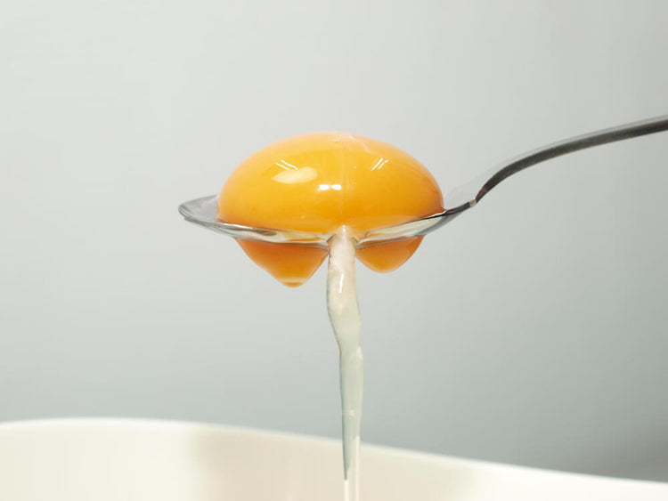 黄身取り名人 送料￥250(6個まで)　日本製 卵黄 を取り分ける